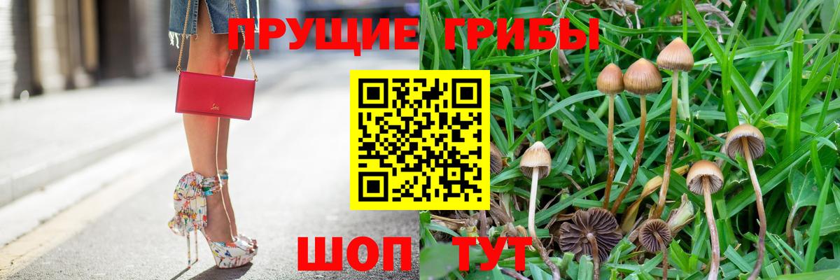 Прохладный  Псилоцибиновые грибы мухоморы  Галлюциногенные грибы GOLDEN TEACHER  Вход с VPN 