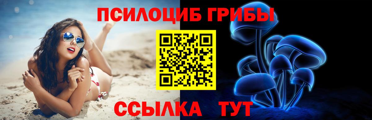 Псилоцибиновые грибы Cubensis Прохладный
